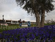 Clayton Mr Darcy TosTour 2013- S4 7366